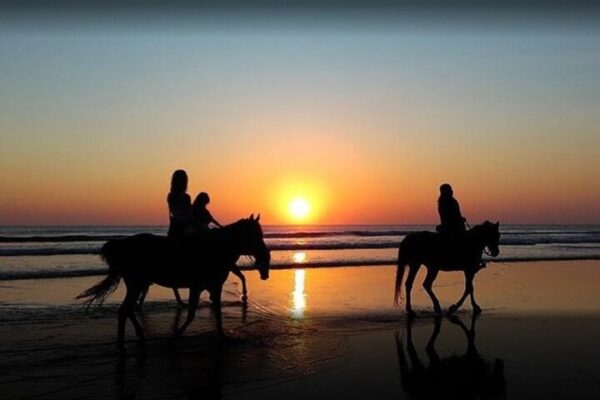 Horse Riding – 2 Hours