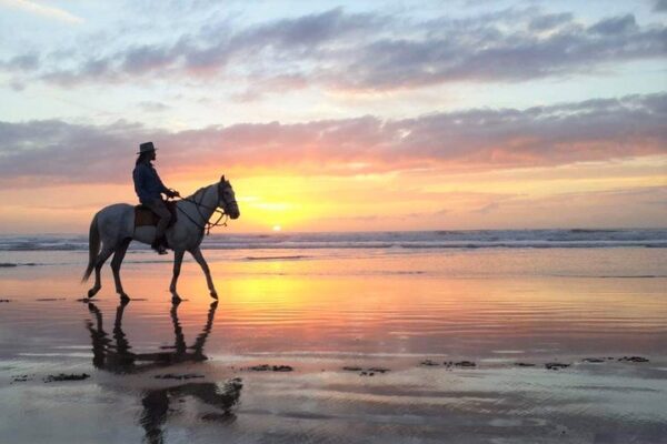 Horse Riding – 2 Hours