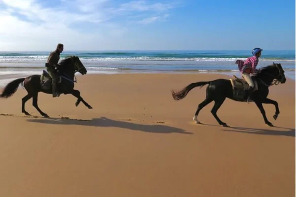 Horse Riding – 2 Hours