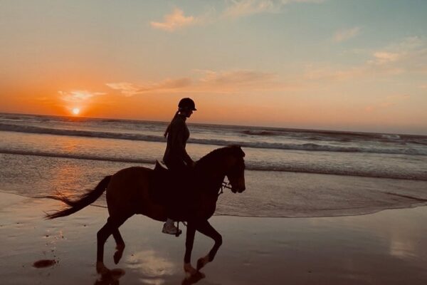 Horse Riding – 2 Hours