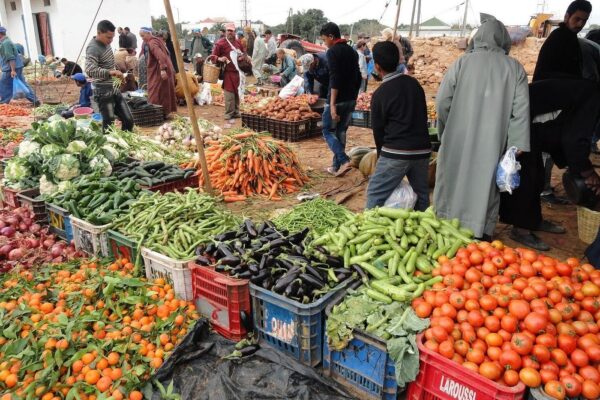 Half-Day Essaouira City Tour & Berber Market Experience