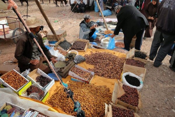 Half-Day Essaouira City Tour & Berber Market Experience