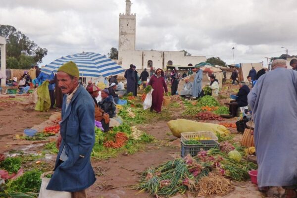 Half-Day Essaouira City Tour & Berber Market Experience
