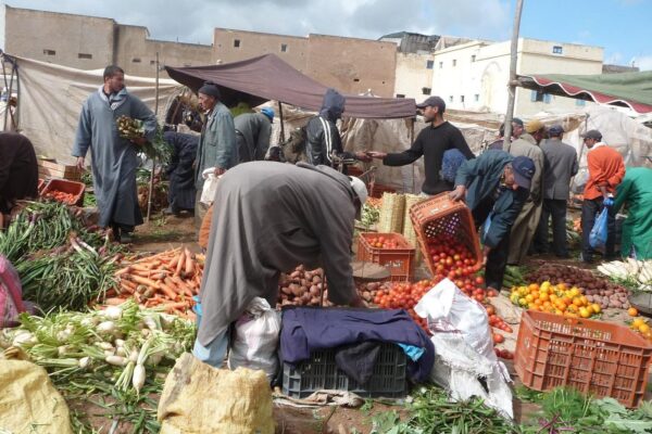 Half-Day Essaouira City Tour & Berber Market Experience