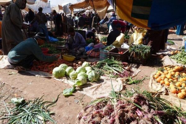 Half-Day Essaouira City Tour & Berber Market Experience