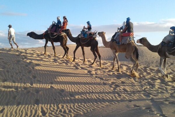 Camel Ride – 1 Hour