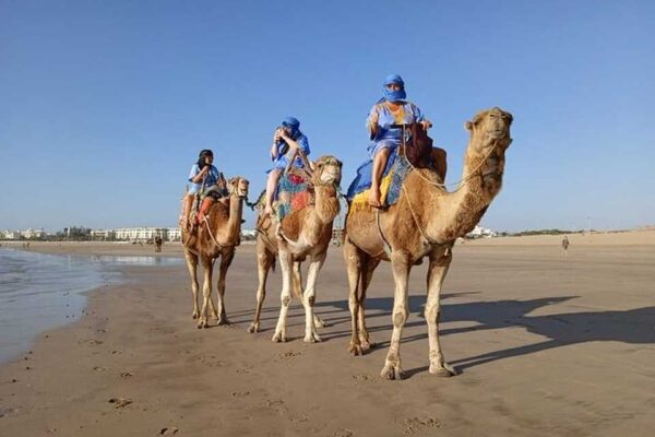 Camel Ride – 1 Hour