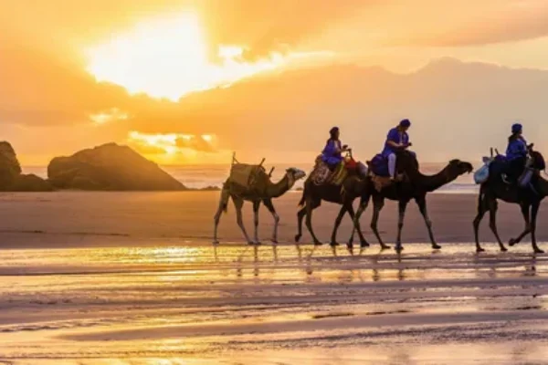 Camel Ride – 1 Hour