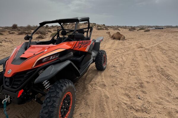 1-Hour Buggy Ride in Essaouira Desert (2-Seater Buggy)