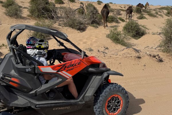 1-Hour Buggy Ride in Essaouira Desert (2-Seater Buggy)