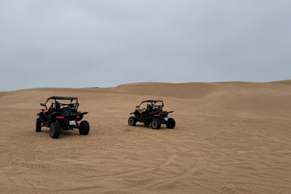 1-Hour Buggy Ride in Essaouira Desert (2-Seater Buggy)