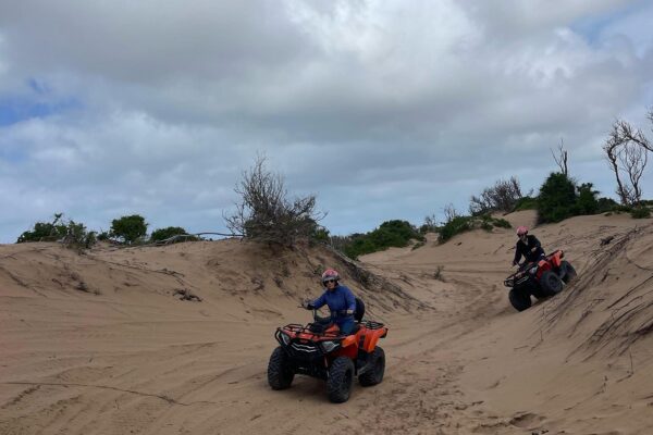2-Hour Quad Biking Adventure in Essaouira Forest & Dunes