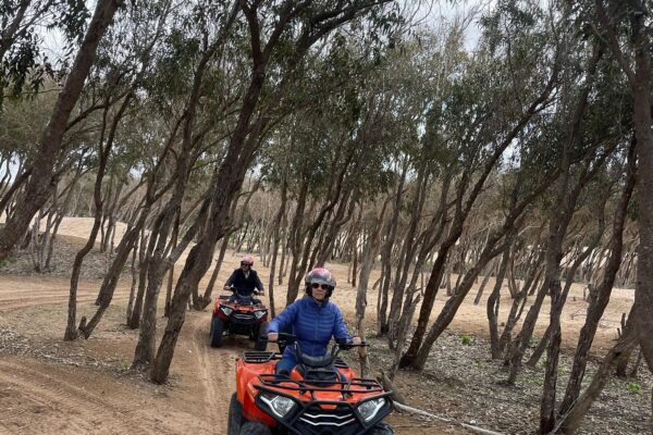 2-Hour Quad Biking Adventure in Essaouira Forest & Dunes