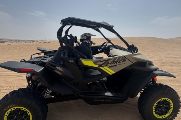 1-Hour Buggy Ride in Essaouira Desert (2-Seater Buggy)