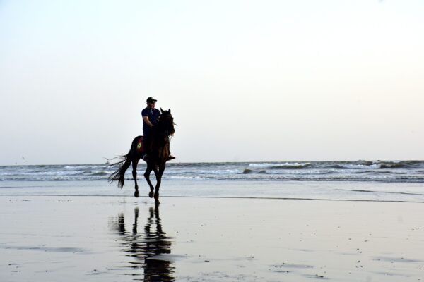 Horse Riding – 2 Hours