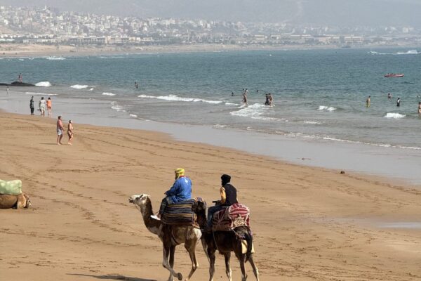 Camel Ride – 1 Hour