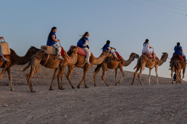 Camel Ride – 1 Hour