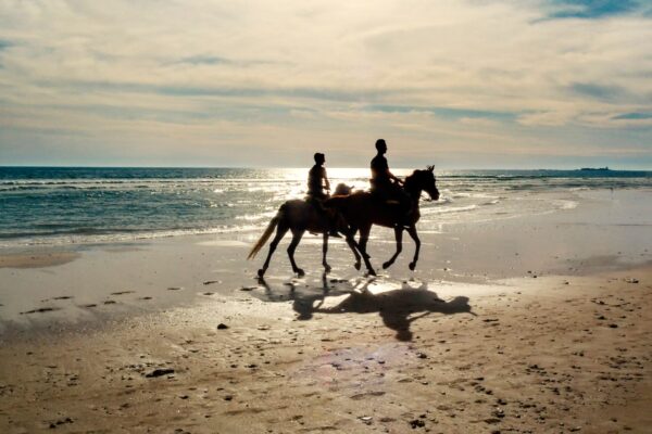 Horse Riding – 2 Hours