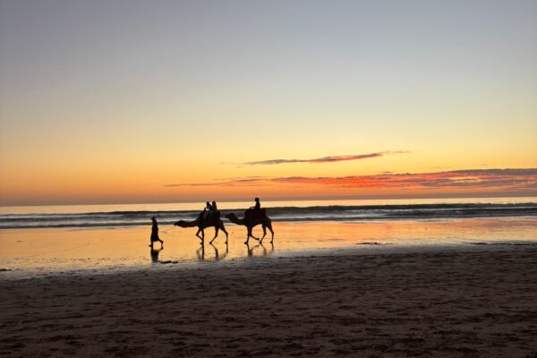 Camel Ride – 1 Hour