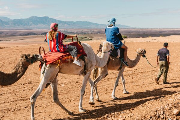 Camel Ride – 1 Hour