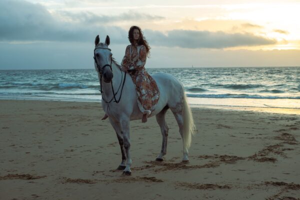 Horse Riding – 2 Hours