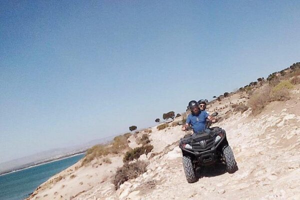 Quad Bike Adventure – 3 Hours
